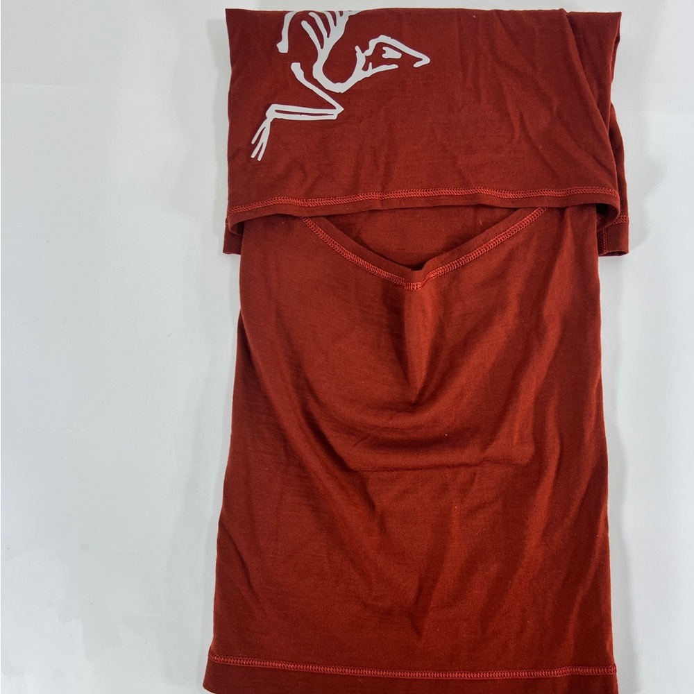 Arc'teryx Norvan Balaclava